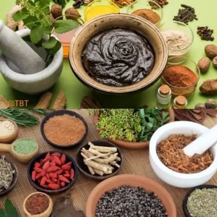 AYURVEDIC DEGREE: THE NEWEST BIG THING IN INDIA FOR FOREIGNERS FROM ABROAD